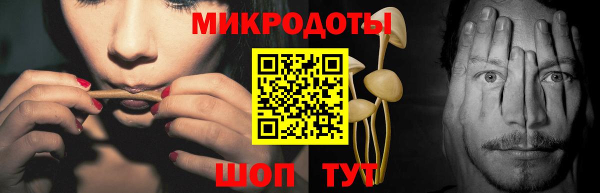 Псилоцибиновые грибы Cubensis Горно-Алтайск